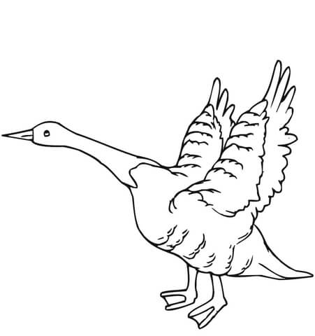 Goose Fly Away Coloring Page